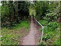 Path descending from Springfield Road, Lydney