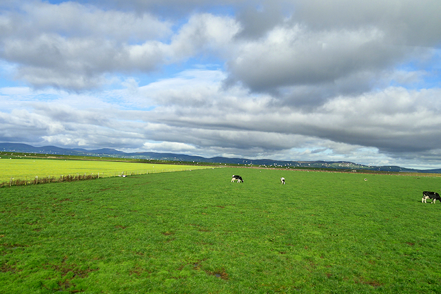 Farmland near Ballykelly