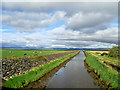 Drainage Channel near Ballykelly