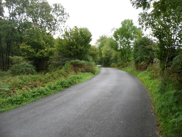 Minor road from Hilton to Abbleby