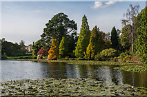TQ4124 : Ten Foot Pond, Sheffield Park by Ian Capper