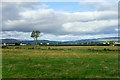 Fields near Bellarena