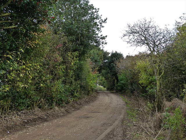The track to Box Hill Farm
