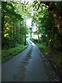 Narrow lane over a brook