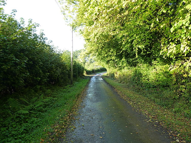 Private lane into Wynnstay Park
