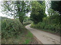 Country lane, Marchington Woodlands