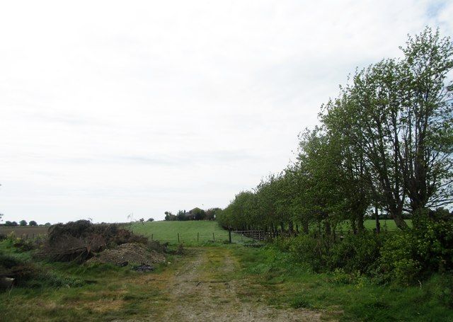 Field entrance on the Boherboy Road