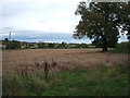 Field near Swilcarlawn Farm