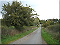 Country lane near Swilcarlawn Farm