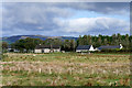 Pasture near Sea Coast Road