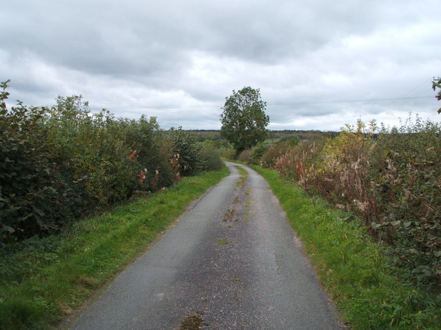 Lane towards Agardsley Park