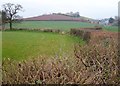 Farmland southeast of Alphington