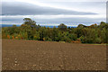 Public Footpath heading East towards Newton-le-Willows