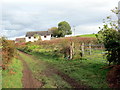 Llwybr Ceffyl Penbanc / Penbank Bridleway