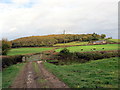 Llwybr Ceffyl ger Dolderwen / Bridleway near Dolderwen