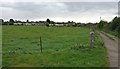 Field near Lodge Farm