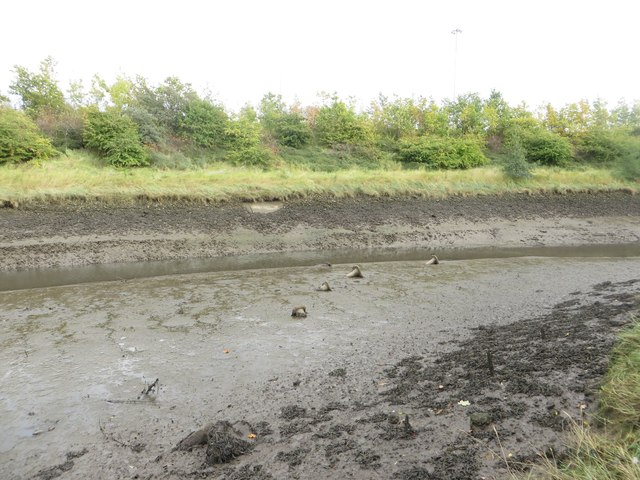 The River Don, East Jarrow