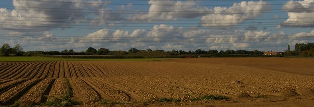 Fields north of Campsea Ashe, from the railway line