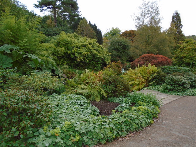 Chartwell House Gardens