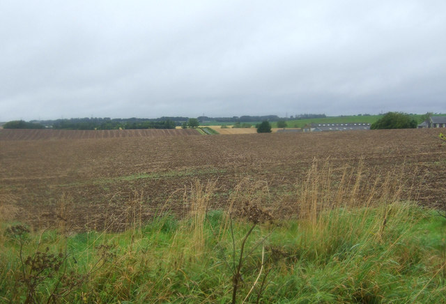 Field near Loanknowe