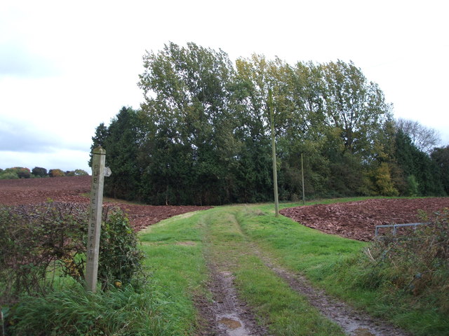 Farm track (footpath), Bushton Bridge