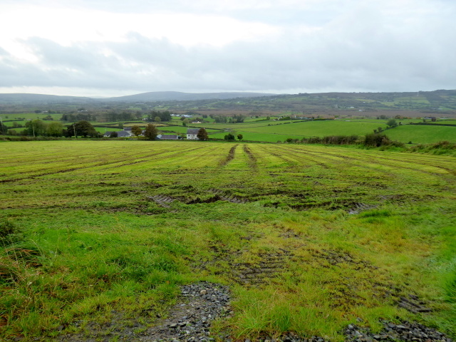 Tracks in a field, Archill