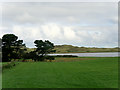 Grassland near the River Bann