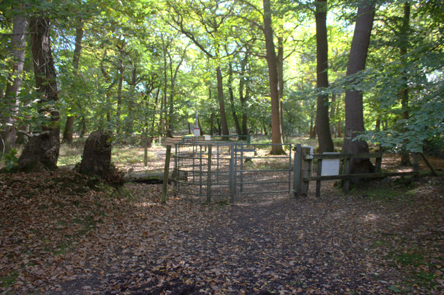 Gate at Park Lane from Dorney Wood