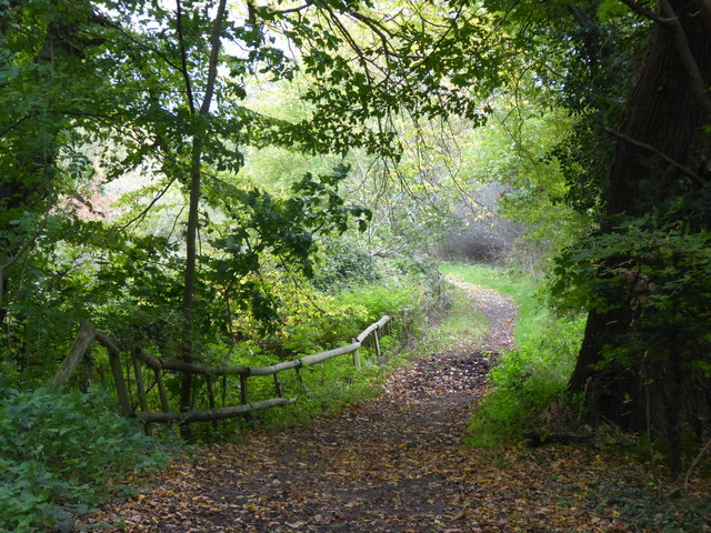 Path in Whitewebbs Wood