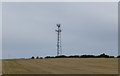 Communications mast