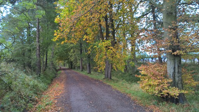 Lane to Abbot's House, Goathland