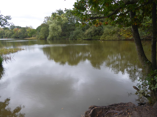 The lake in Trent Park