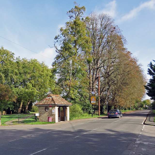 Barton: bus shelter and tall trees