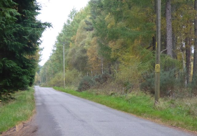 A narrow minor road through Brathens Wood