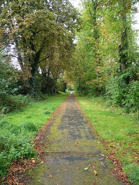 Conker Lane from Four Ashes Road