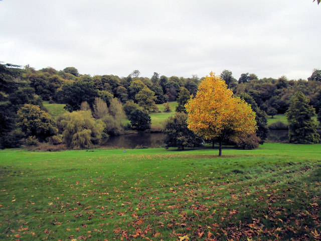 Trees at Chartwell