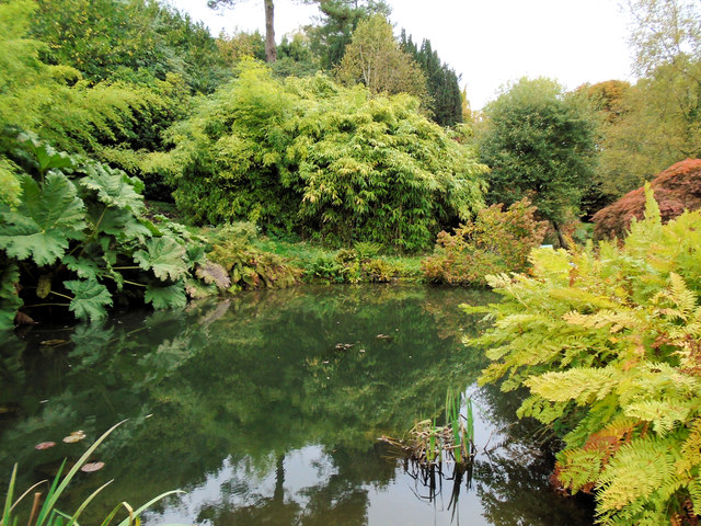 Fishpond at Chartwell