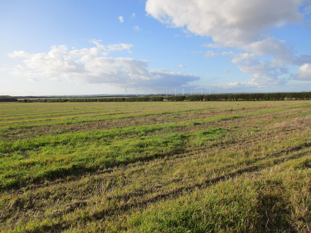 View towards Lissett Windfarm from Barbriggs Lane