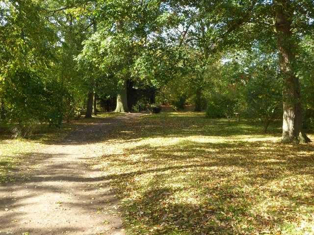 Path among trees in Croome Park
