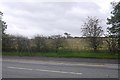 SJ5010 : Between the bypasses - Sutton, Shrewsbury by Richard Webb