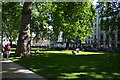 TQ2880 : Berkeley Square Gardens by N Chadwick