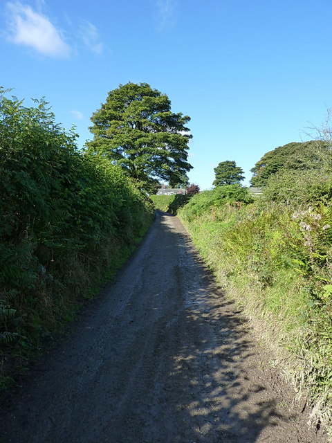 Lane towards Cefn Canol