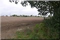 Newly cultivated field, Merrington