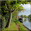 Visitor moorings at Penkridge in Staffordshire