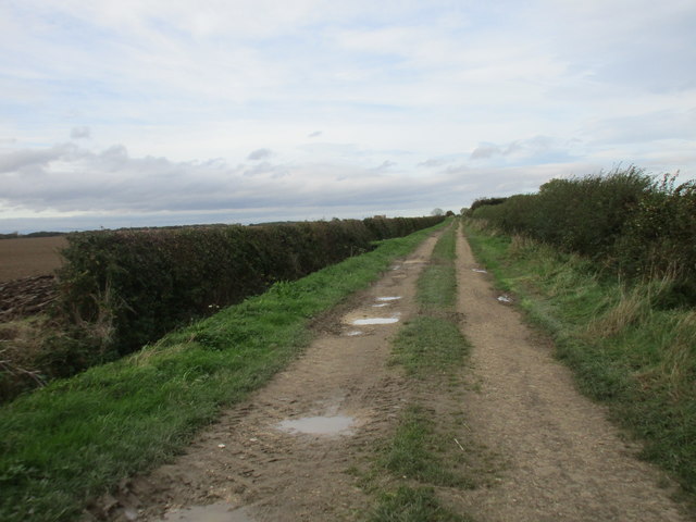Track off Gransmoor Lane