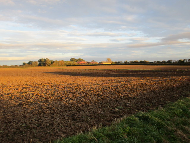 Ploughed Field and Moor House
