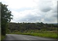 A53 approaching the valley of Solomon