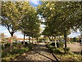 Path in the Car Park at Cribbs Causeway