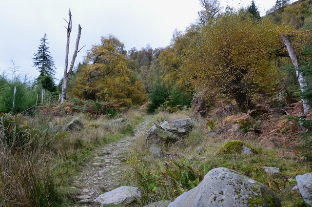 Birnam Hill path © Jim Barton cc-by-sa/2.0 :: Geograph Britain and Ireland