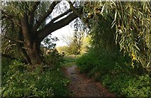 SK5702 : Path next to the River Biam by Mat Fascione